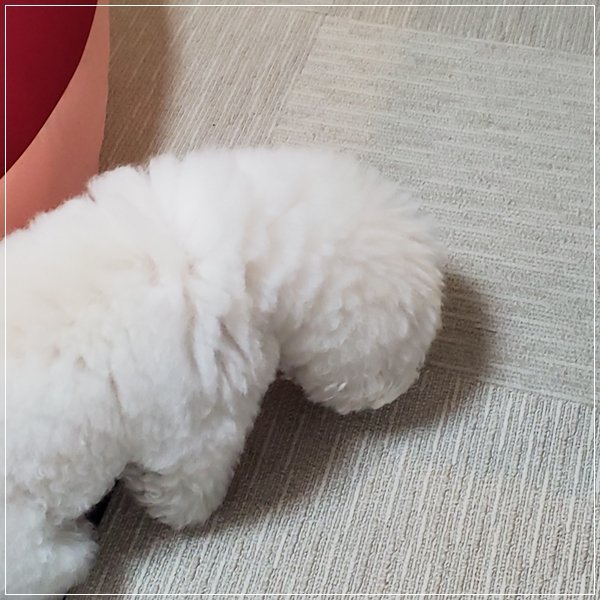 20190719_075548