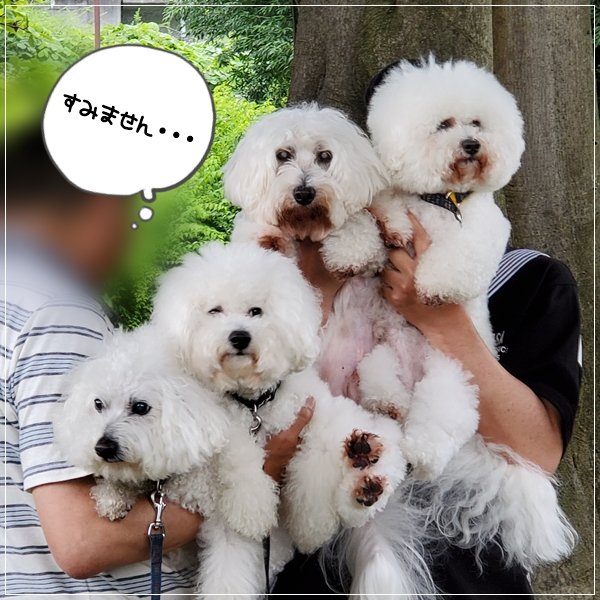20190623_131349