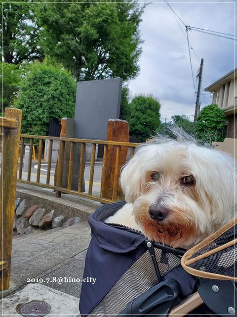 20190708_165351