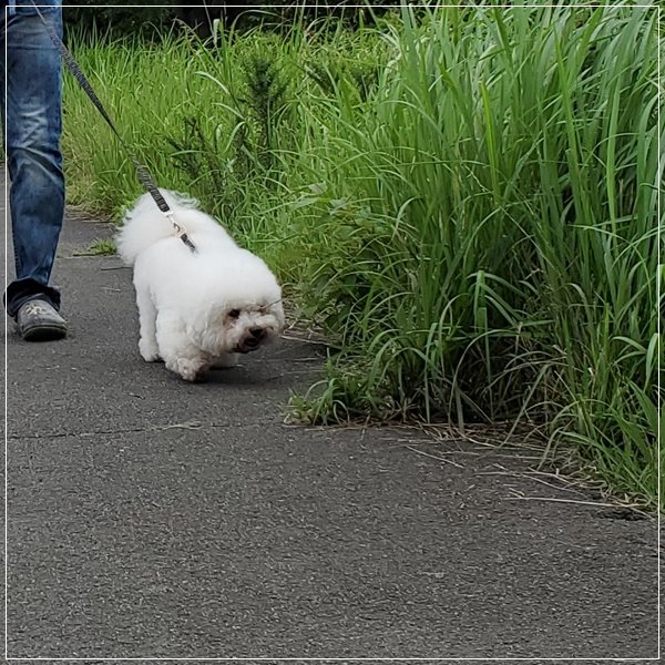 20190715_140340