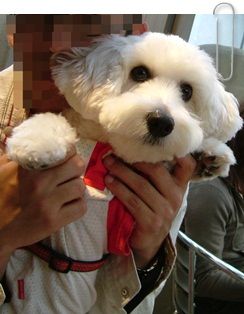 PHOTO176
