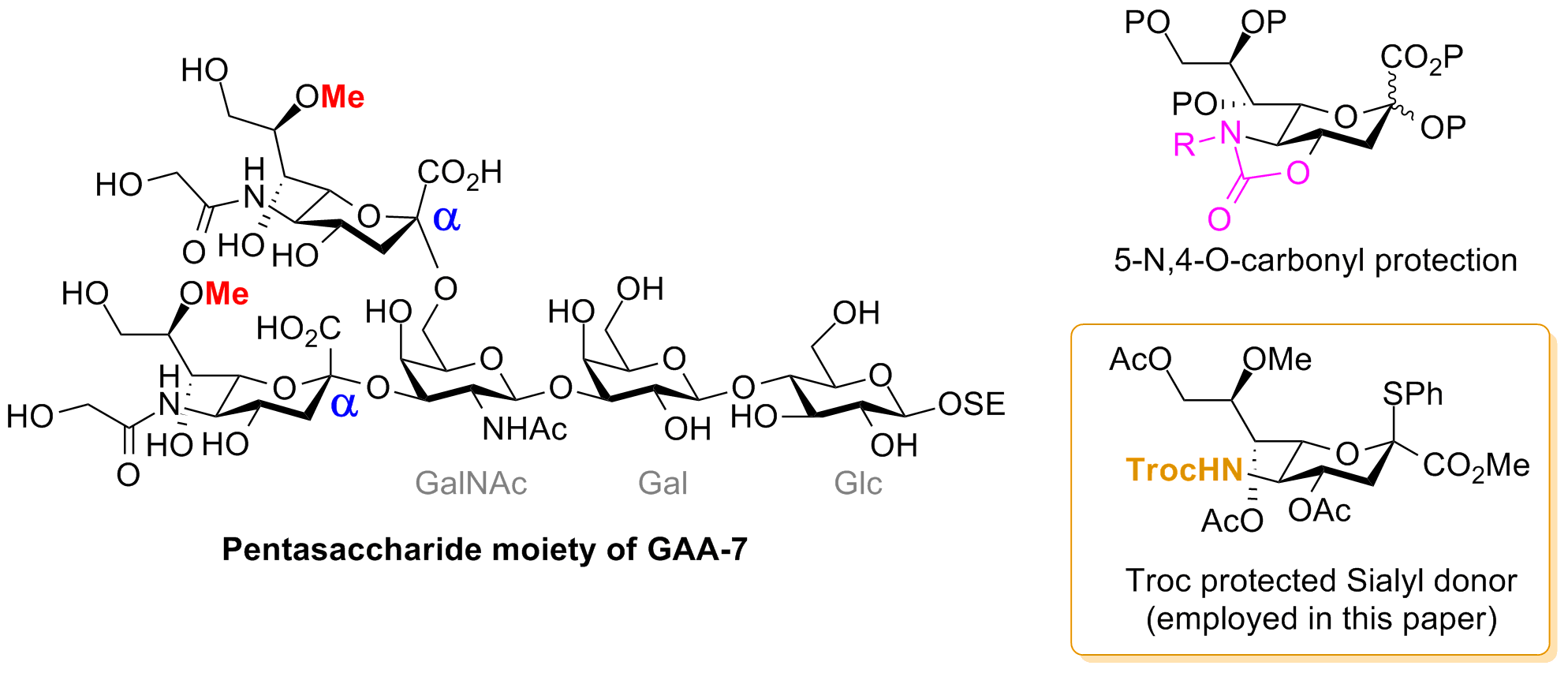 全合成 First Synthesis Of A Pentasaccharide Moiety Of Ganglioside Gaa 7 Containing Unusually Modified Sialic Acids Through The Use Of N Troc Sialic Acid Derivative As A Key Unit Chemasap