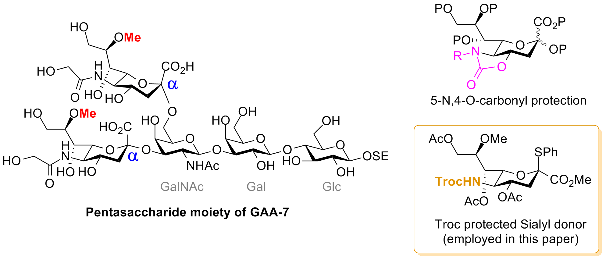 全合成 First Synthesis Of A Pentasaccharide Moiety Of Ganglioside Gaa 7 Containing Unusually Modified Sialic Acids Through The Use Of N Troc Sialic Acid Derivative As A Key Unit Chemasap 全合成 First Synthesis Of A Pentasaccharide Moiety Of Ganglioside Gaa 7 Containing Unusually Modified Sialic Acids Through The Use Of N Troc Sialic Acid Derivative As A Key Unit Chemasap
