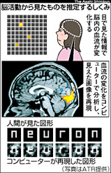 brain2