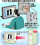 brain1