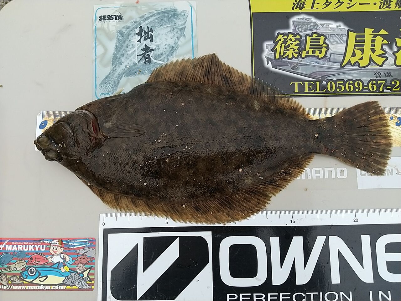 11 07 ノッコミカレイ狙い3回戦 日間賀島 Inachangのお気楽な投げ釣り覚書2 11 07 ノッコミカレイ狙い3回戦 日間賀島 Inachangのお気楽な投げ釣り覚書2