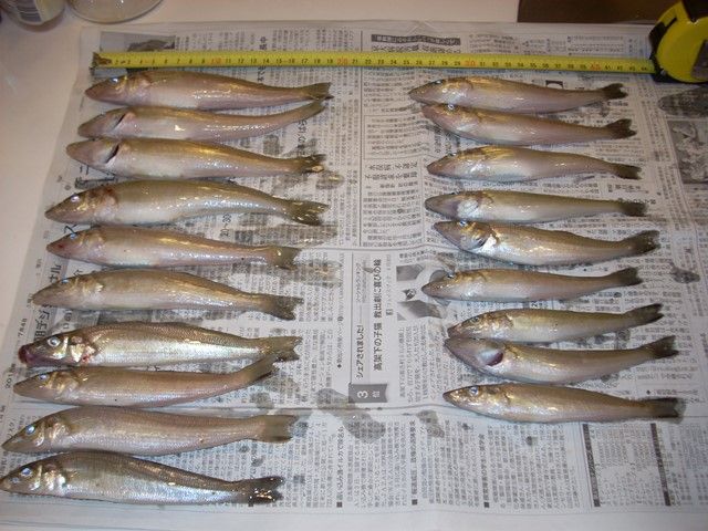 15年07月 Inachangのお気楽な投げ釣り覚書２