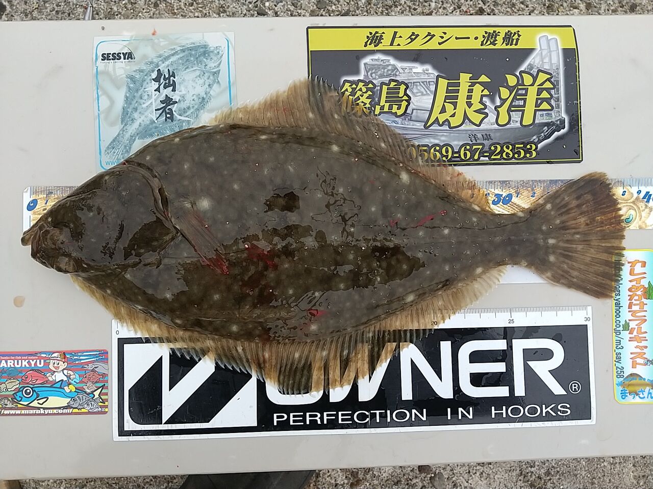 11 07 ノッコミカレイ狙い3回戦 日間賀島 Inachangのお気楽な投げ釣り覚書2 11 07 ノッコミカレイ狙い3回戦 日間賀島 Inachangのお気楽な投げ釣り覚書2