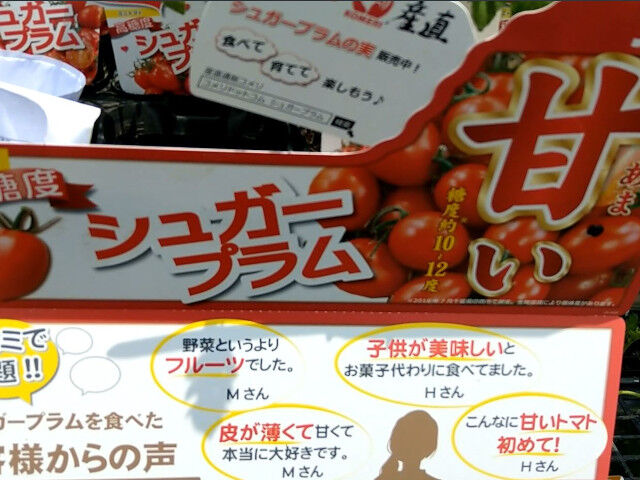 Jardinのミニトマト高糖度シュガープラム2021年