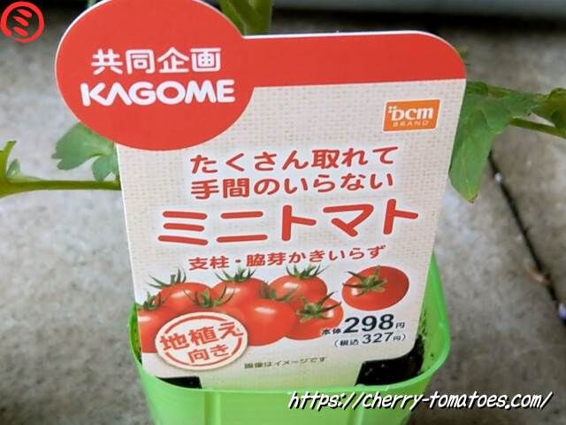 カゴメのあまたん苗を購入 背丈の低い高糖度ミニトマトの特徴は 21年 ミニトマトのプランター栽培記録 ベランダ家庭菜園ブログ