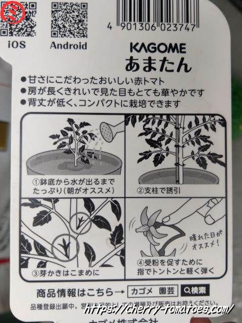 カゴメベランダ栽培向けあまたんのラベルの裏2021年