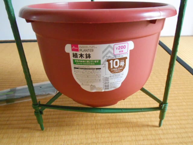 ダイソー連結トマト支柱を10号鉢に固定するのに失敗した ミニトマトのプランター栽培記録 ベランダ家庭菜園ブログ ダイソー連結トマト支柱を10号鉢に固定するのに失敗した ミニトマトのプランター栽培記録 ベランダ家庭菜園ブログ