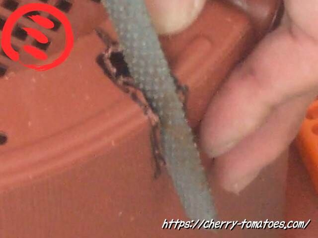 ダイソー9号鉢のスリット穴を100均ダイソーの木工用半丸型ヤスリで形を整える
