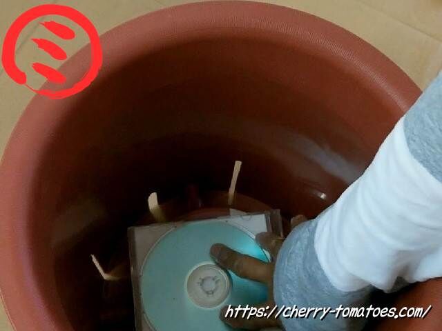 CDケースで押さえようとした