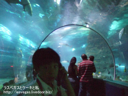 海底気分