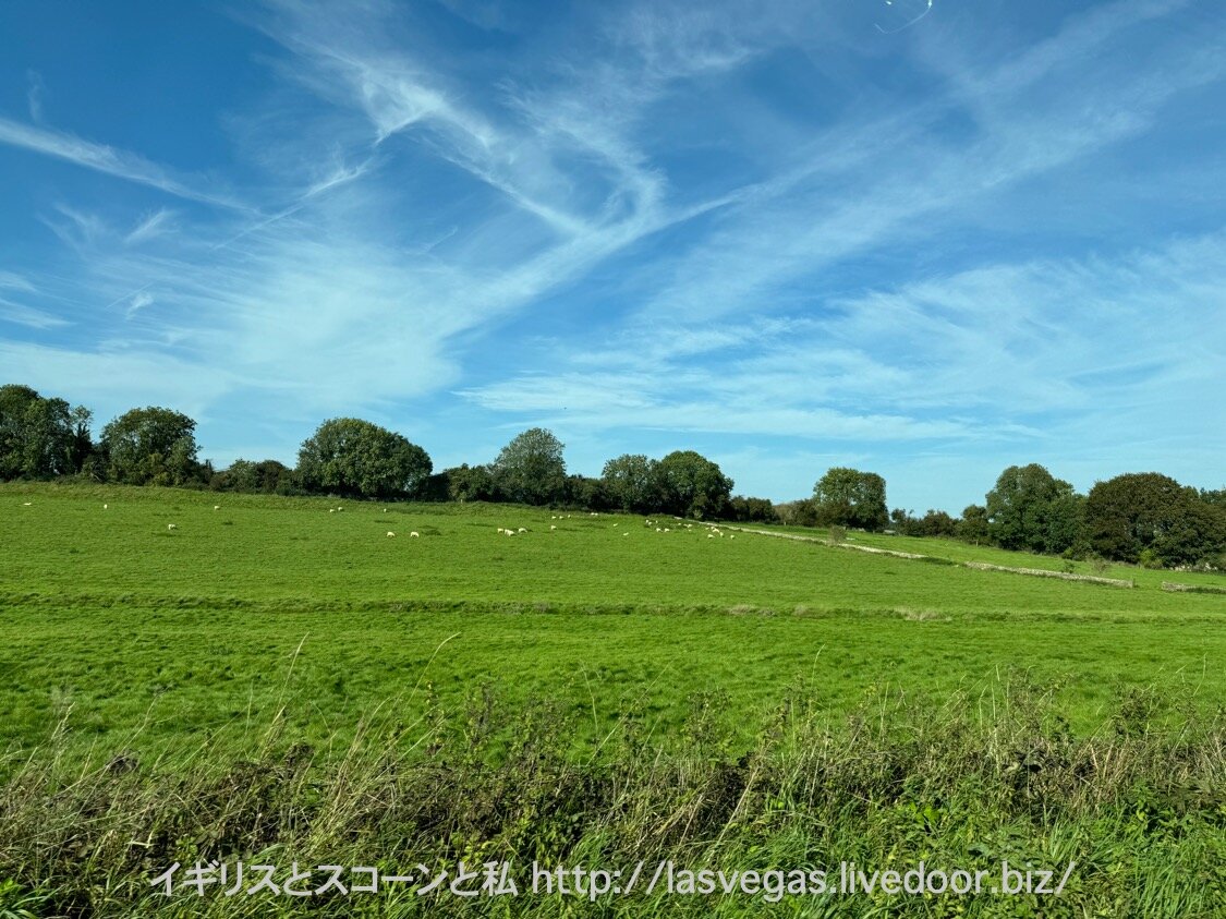 th_IMG_4739