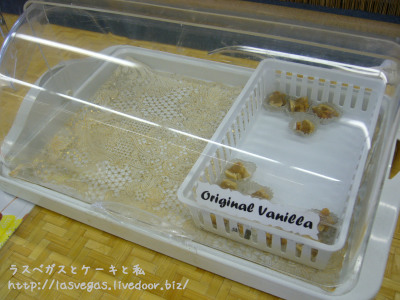 サンプル