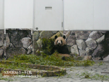 良浜