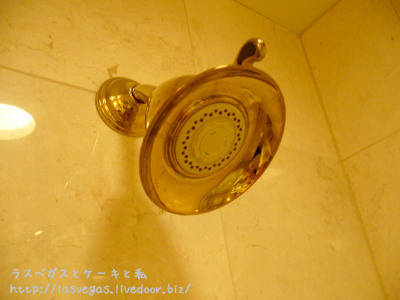 シャワーヘッド