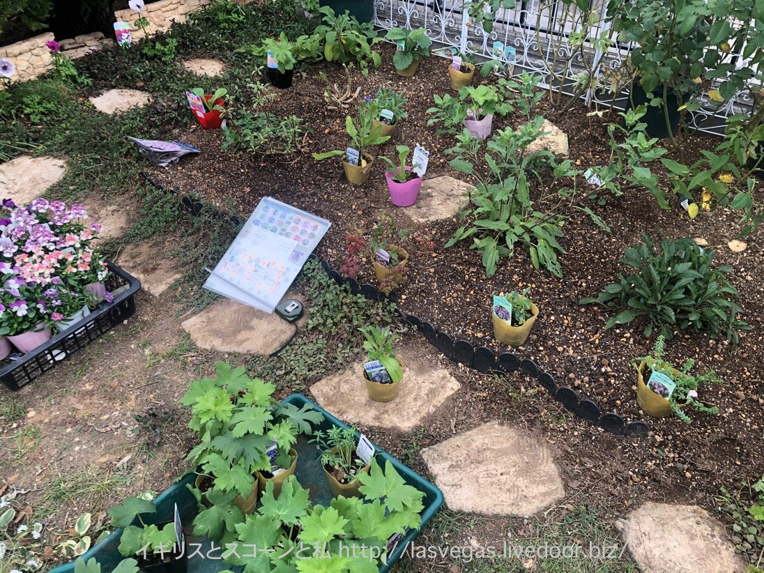 イングリッシュガーデン風のお庭のオススメ植物 イギリスとスコーンと私 イングリッシュガーデン風のお庭のオススメ植物 イギリスとスコーンと私
