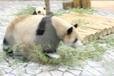 急がなきゃ〜