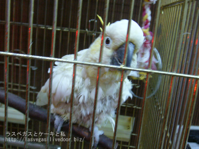 また会えたね