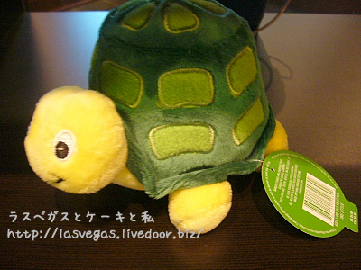 亀くん