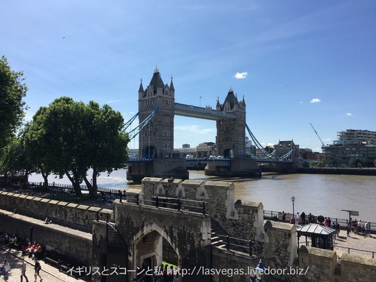 th_IMG_3221