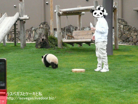すたこらさっさ