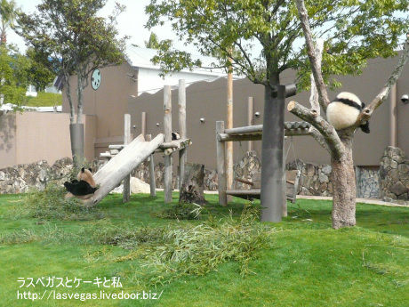 3日目