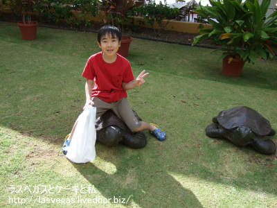 亀