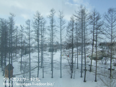 雪景色
