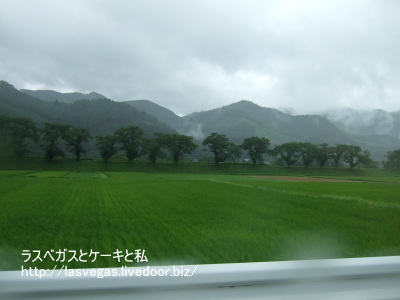 緑〜