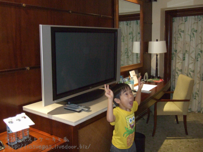 テレビが見えない・・