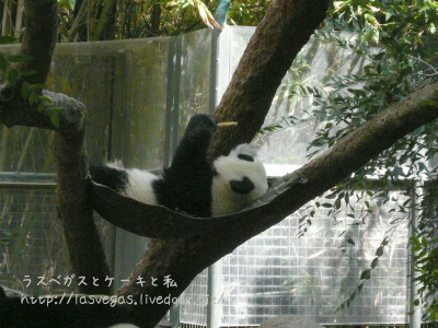 あばあば