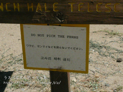 いや別にいらないけど・・