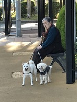 ピース(^^)/