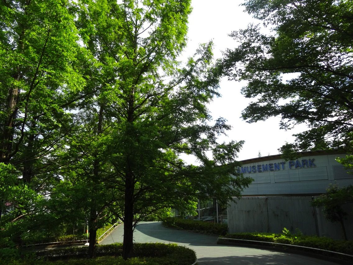 犬連れて ところざわのゆり園 シェビーズのブログ