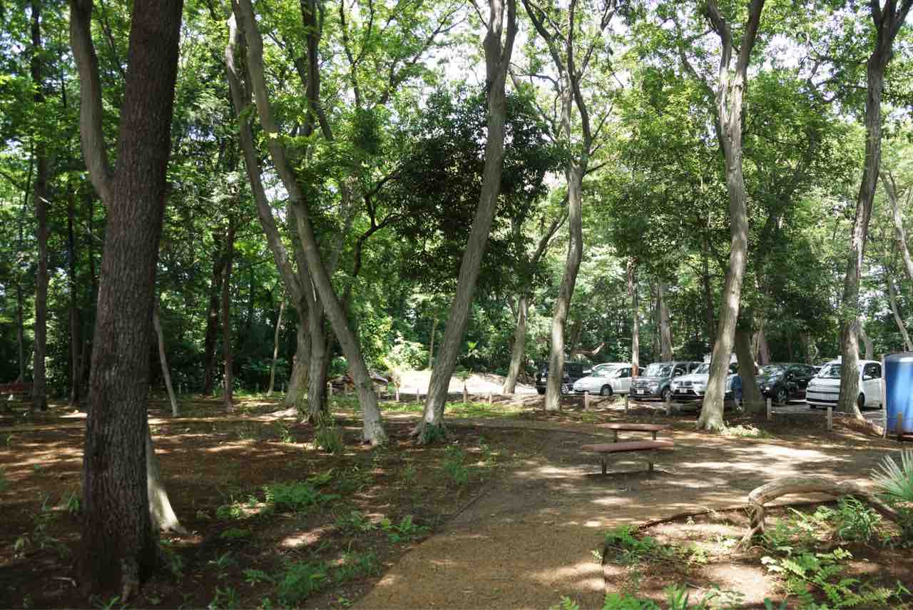 犬連れて さいたま市 染谷花しょうぶ園 シェビーズのブログ