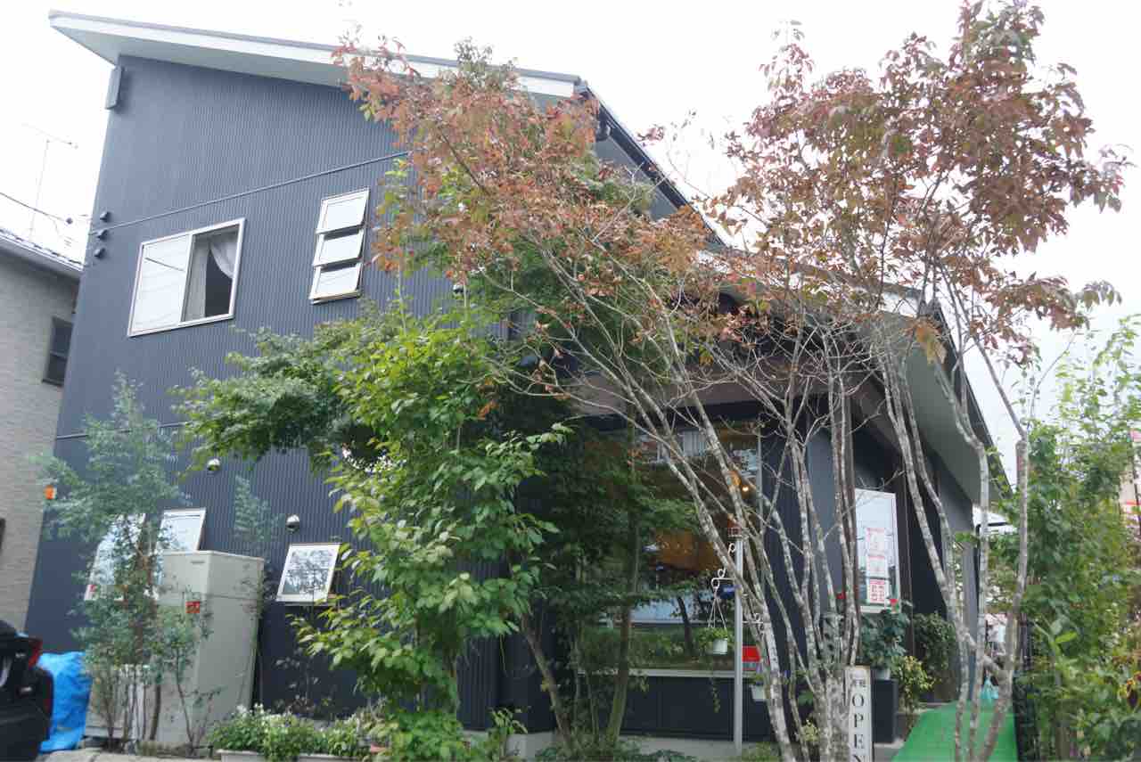 ドッグカフェ 秩父 カフェテラスディーノ シェビーズのブログ