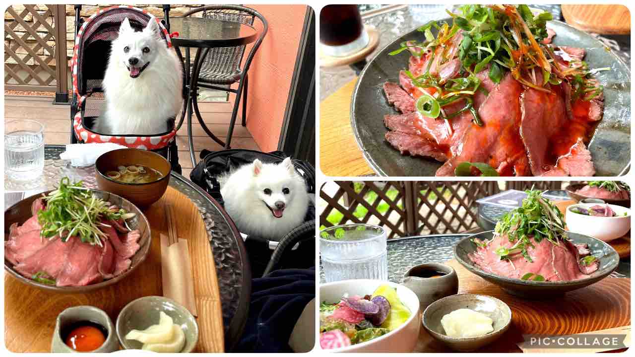 森 の レストラン すっぴん