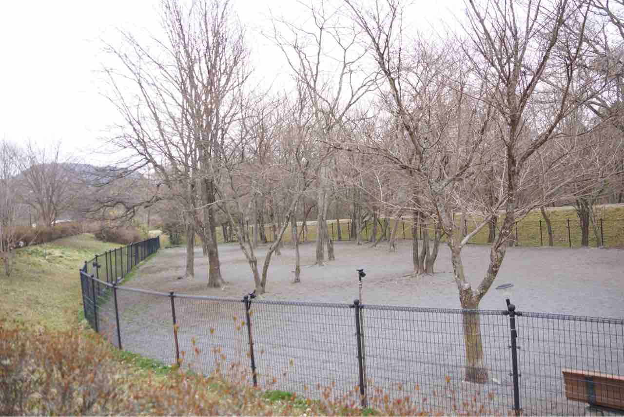 犬連れて 湯川ふるさと公園 ドッグラン シェビーズのブログ