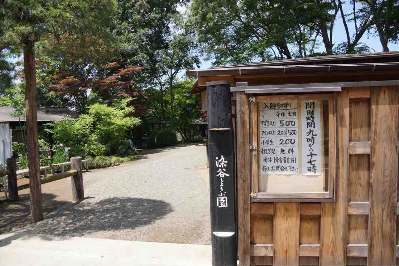 犬連れて さいたま市 染谷花しょうぶ園 シェビーズのブログ