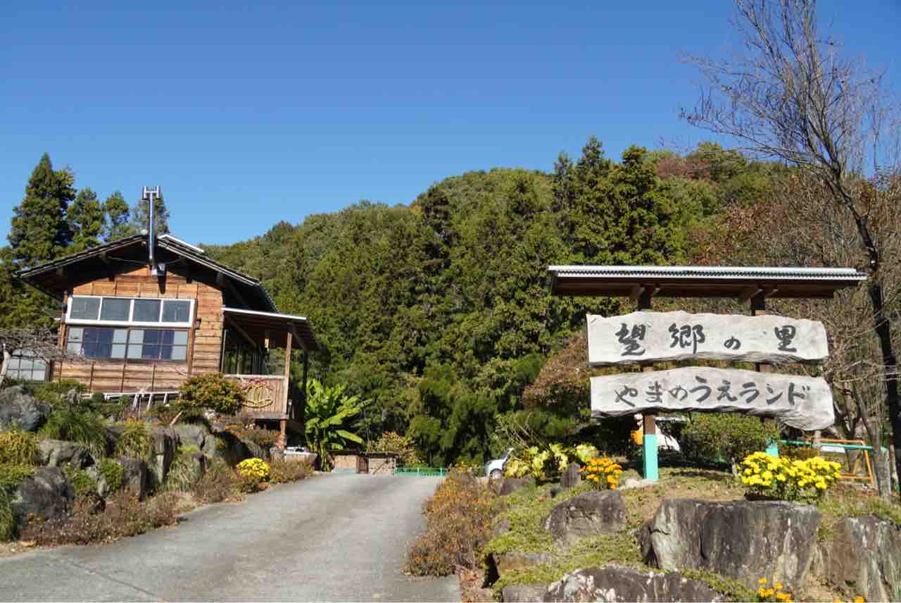 当時のメディア報道・掲載写真