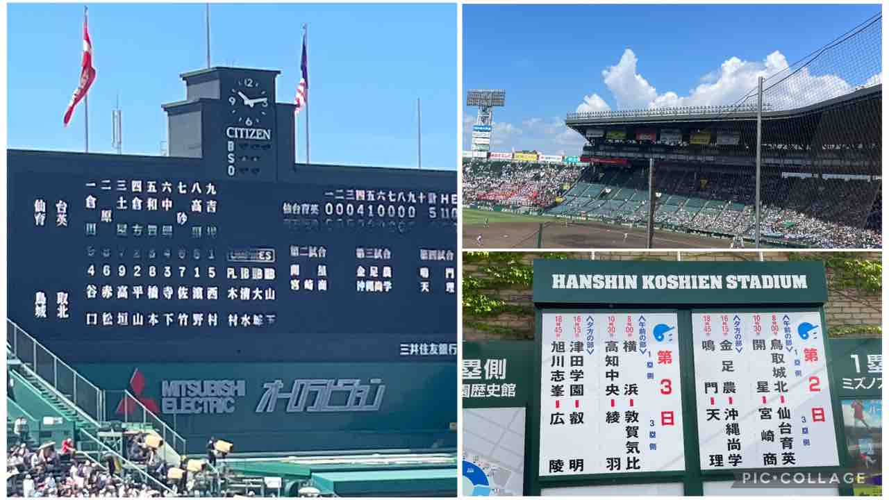 夏の甲子園球場 高校野球観戦 : シェビーズのブログ