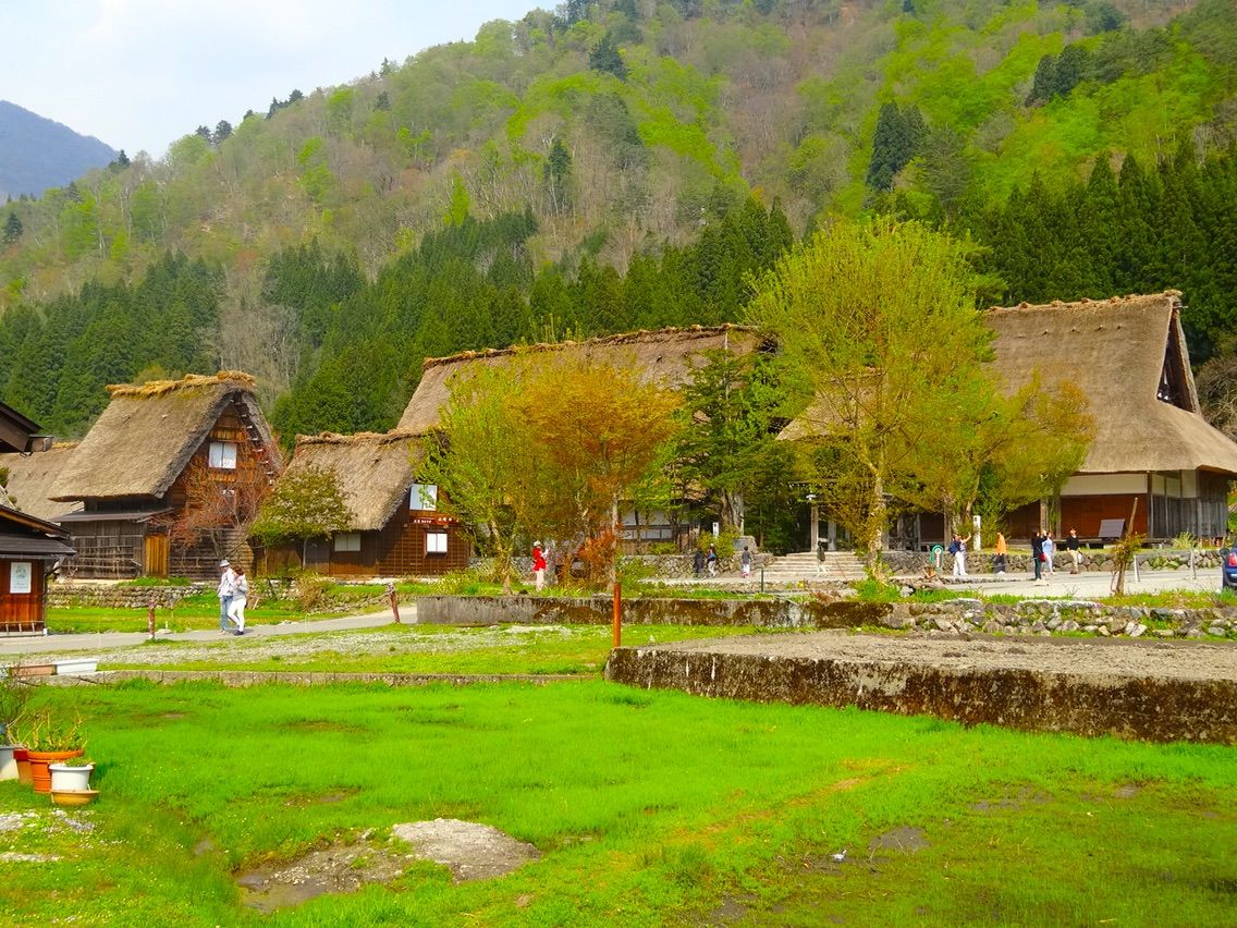 犬連れ旅行 白川郷 シェビーズのブログ 犬連れ旅行 白川郷 シェビーズのブログ