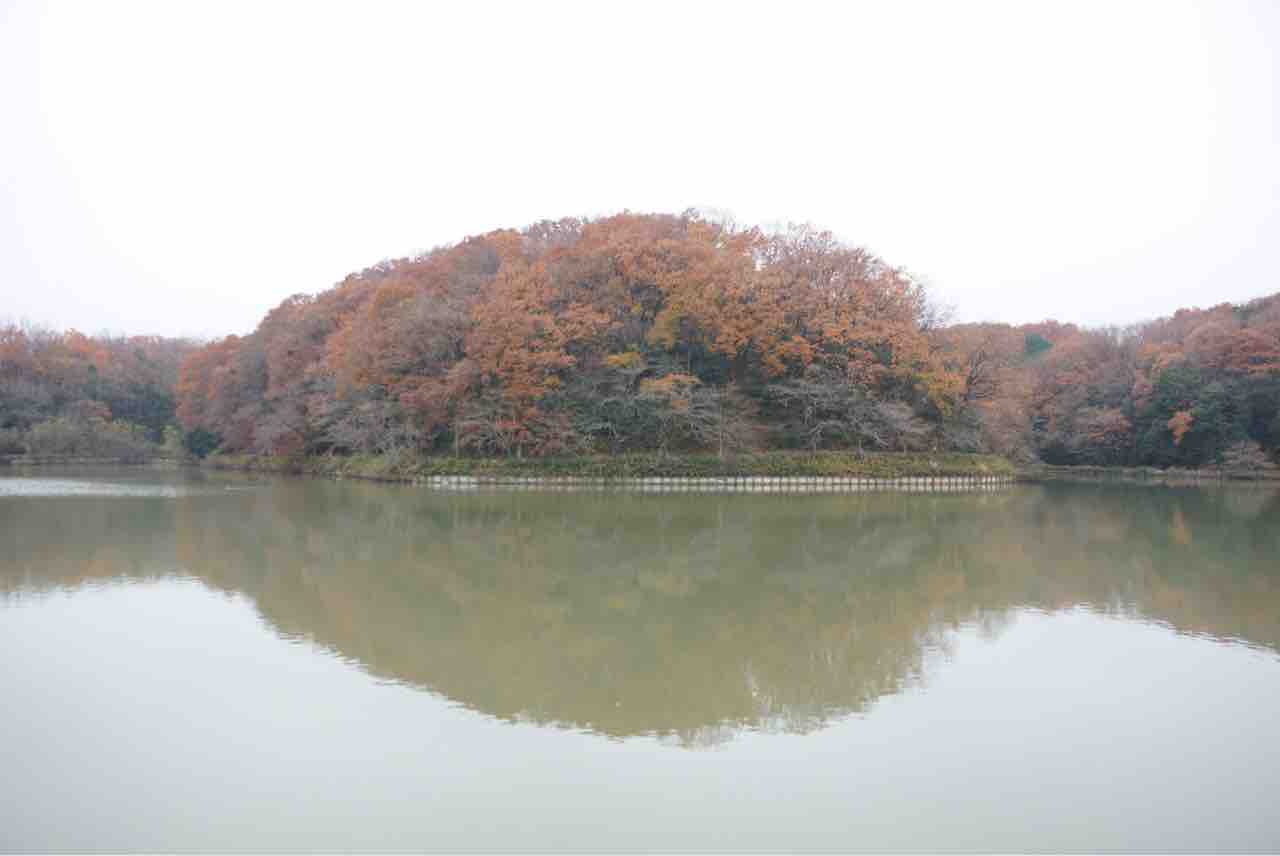 八丁湖公園 でハイキング 紅葉 シェビーズのブログ
