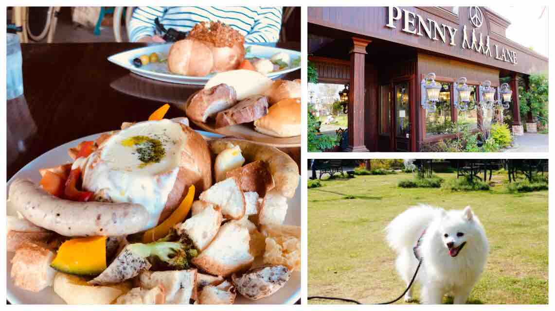 犬連れokのレストラン ペニーレイン つくば店 シェビーズのブログ