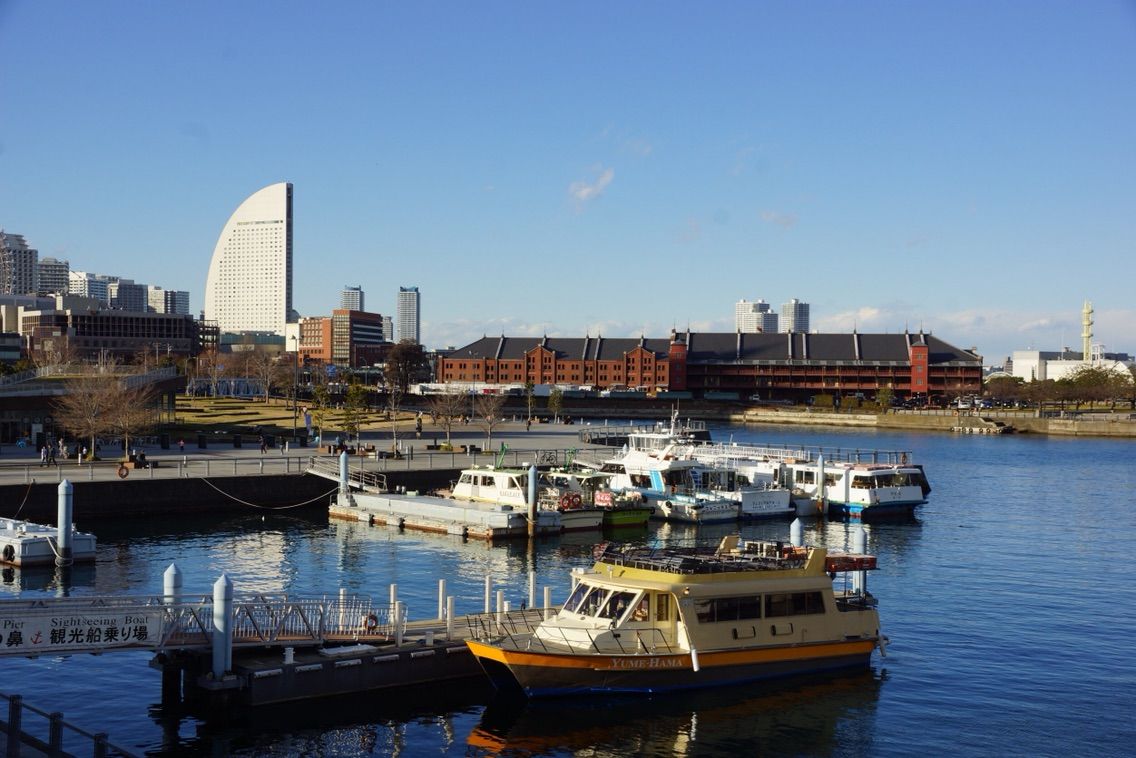 犬連れて横浜散歩 山下公園 赤レンガ倉庫 マリン ウォーク シェビーズのブログ