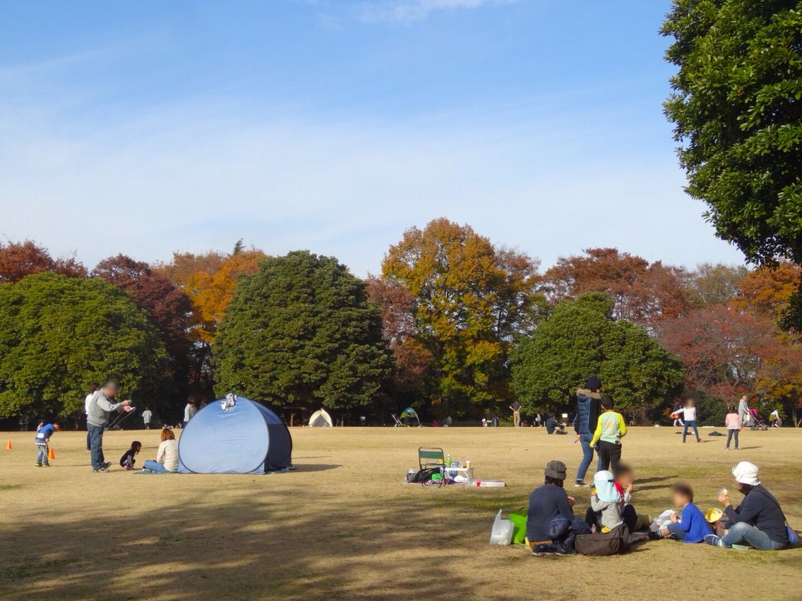犬連れて 市民の森 見沼グリーンセンター シェビーズのブログ